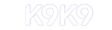 K9K96